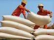 Có ý kiến cho rằng, VNF1 cần tăng tỷ trọng với ngành, nghề Kl992 VIP Trang Chủ 2026 chính