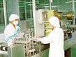 “Hiện tượng Mekophar” thổi bùng mong đợi sửa Luật