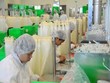 Mediplast bị phạt 50 triệu đồng