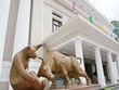 Sẽ hợp nhất 2 sở giao dịch 99Kl99 link đăng nhập