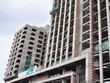 Tái hiện lại hoạt động chợ Mơ truyền thống 