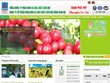 PVFCCo SE giãn tiết độ niêm yết KL99 là cổng game giải trí trực tuyến hàng đầu hiện nay PSE