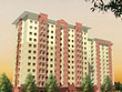 LCG thoái vốn tại Nhiên liệu sinh học Phương Đông