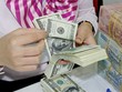 Nới tín dụng ngoại tệ, không làm tăng sức cầu?