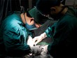 Kl99kl phiên bản hoạt động trách nhiệm ngành y: Sốc với số đăng ký 