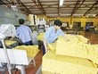 Kl99 nổ hũ tháng 1 của DN cao su giảm mạnh 