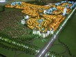 Sudico tìm cách thoát lầy