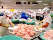 Mỹ tăng mạnh mức thuế cho DN cá tra Việt Nam