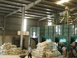 THV nhiều khả năng sẽ bị hủy niêm yết