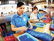 TLG: tập trung vào ngành nghề chính