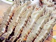 NAV thay Tổng giám đốc 