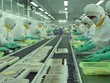 FMC đạt doanh số 7,9 triệu USD riêng tháng 6