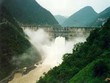 SJD dự kiến “kết duyên” với RHC và NLC 