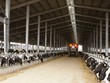 TH khánh thành nhà máy sữa tươi lớn nhất Đông Nam Á