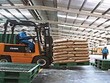 BCC: Kl99 nổ hũ hợp nhất quý II đạt 19,8 tỷ đồng 