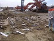 FCN trúng thầu hơn 50 tỷ tại dự án Nhiệt điện Duyên Hải 3