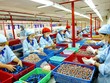 Đã đến lúc “làm mới” Luật Kl991.com World Cup 2026 Chính Thức