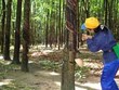 TNC dự kiến cả năm đạt 40 tỷ đồng Kl99 nổ hũ trước thuế 