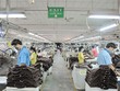 GMC: 8 tháng đầu năm đạt doanh thu 910 tỷ đồng