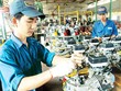 (Ảnh minh họa: internet)