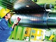 Bán chui, người nhà sếp SMC bị phạt 40 triệu đồng