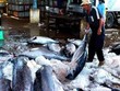 VNH sẽ thoái hết vốn khỏi Đồ hộp Phú Nhật