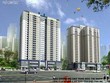 XMC chính thức bỏ "cuộc chơi" từ 11/11