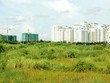 90.000 héc-ta đất vi phạm, chưa thu hồi