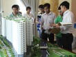 Đất Xanh mở bán đợt 2 Dự án SunView Town