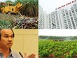 Hết BĐS, đến ngành đường sốc vì bầu Đức