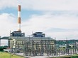 Giá PPC tăng, REE mua cầm chừng