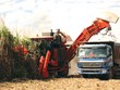 Nông trường mía của HAG ở Attapeu, Lào