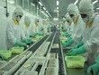 Tháng 11, FMC đạt 10,2 triệu USD doanh thu