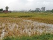 Mặt bằng khu đất 934 mà người dân bị lừa đảo