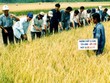SSC chi trả tạm ứng 99Kl.app mobile mới nhất 10% đợt 1/2013