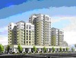 Cát Vàng chốt lời thành công KSA
