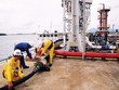 GAS: năm 2013 lãi sau thuế gần 12.000 tỷ đồng