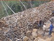 KSS và sự bí ẩn dòng tiền