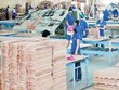 8,8 triệu KL99 là cổng game giải trí trực tuyến hàng đầu hiện nay giá rẻ TTF giao dịch từ 10/1