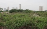 Dự án nghìn tỷ thành… bãi chứa phế thải ảnh 2