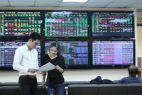 Năm kỷ hợi: Cơ hội lớn hơn rủi ro