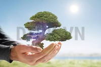 Nhận định thị trường phiên 28/12: Cân nhắc mua vào trong những nhịp điều chỉnh