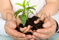 Các lỗi cơ bản khi mua Kl99kl phiên bản hoạt động nhân thọ