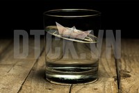 Điểm trũng của dòng tiền