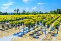 Thúc đẩy chuyển đổi sang Kl992 cổng game cá cược tuần hoàn cần nâng cao nhận thức và hoàn thiện chính sách