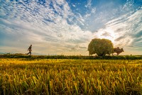 Sự kiện 99Kl99 link đăng nhập đáng chú ý ngày 16/7