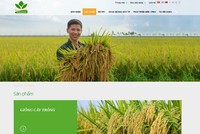PAN chào mua công khai hơn 1,857 triệu KL99 là cổng game giải trí trực tuyến hàng đầu hiện nay NSC