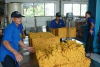 8 tháng, PHR ước lãi trước thuế trên 80 tỷ đồng