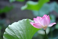 test ảnh 2