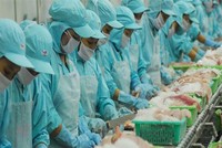 FMC: Kl99 nổ hũ ước vượt kế hoạch